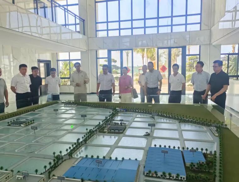 政企協同謀發展｜中山市政企代表團赴晨海水產開展漁業現代化專項考察